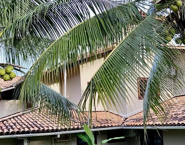 Apartamento Pimenta Rosa, 400M Do Mar, Rua Principal